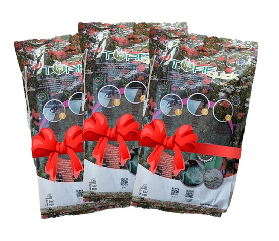 KOMPLEKTS Viengadīgie Pļavas ziedi 5m2 x3gab.